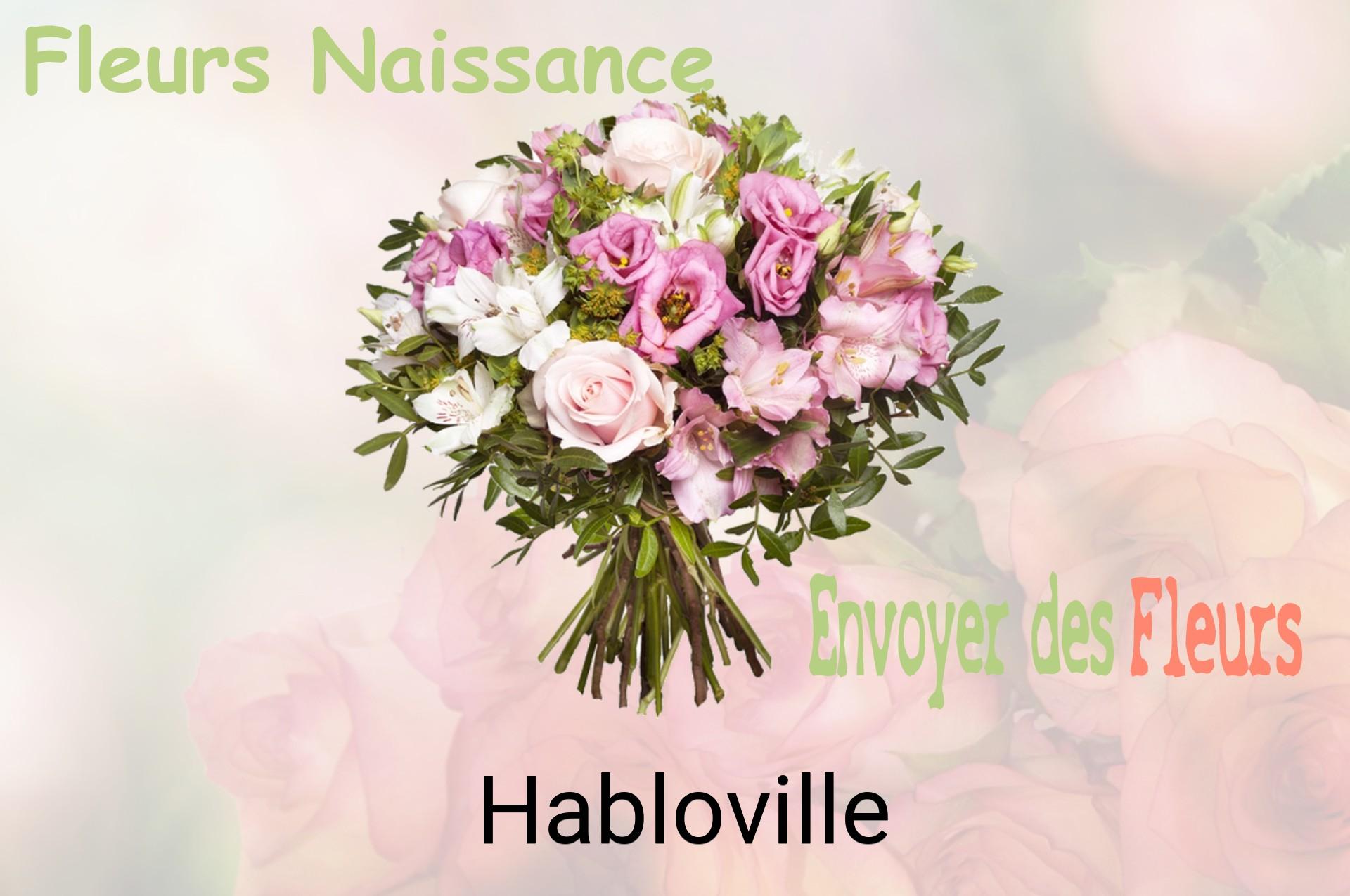 Bouquet de fleurs de naissance livré à Habloville