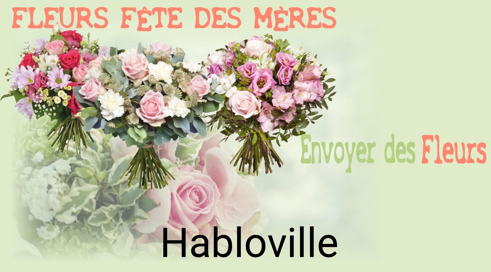 Bouquet de Fête des Mères livré à Habloville